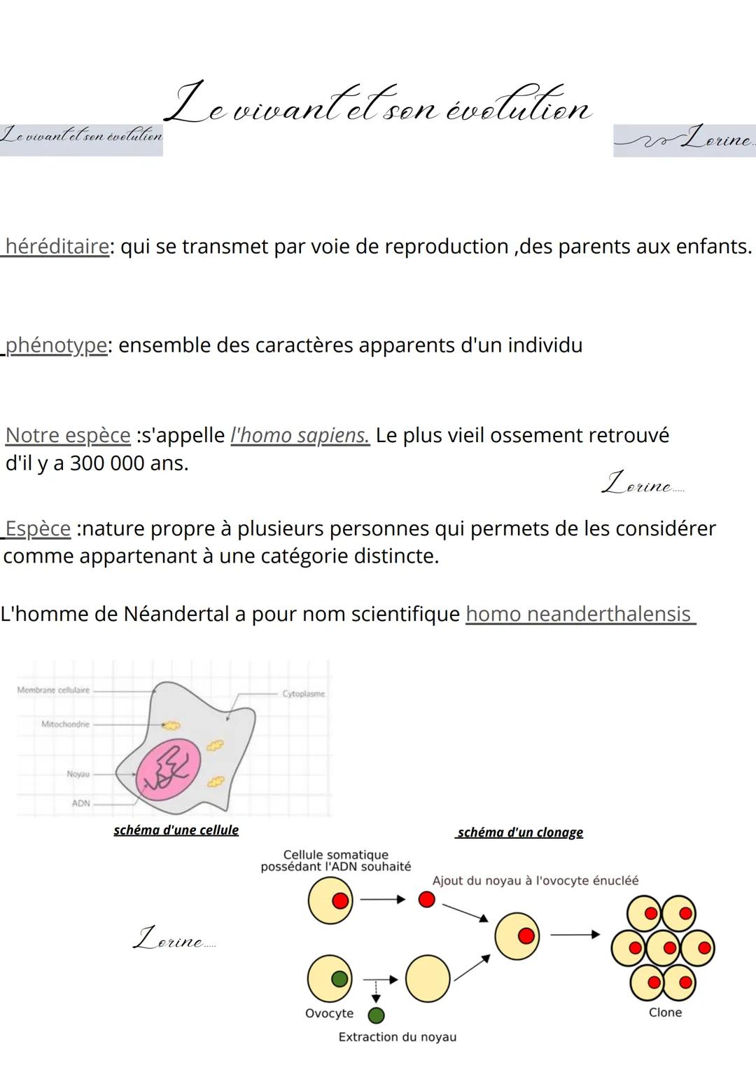 Le vivant et son évolution
_phénotype: ensemble des caractères apparents d'un individu
héréditaire: qui se transmet par voie de reproduction