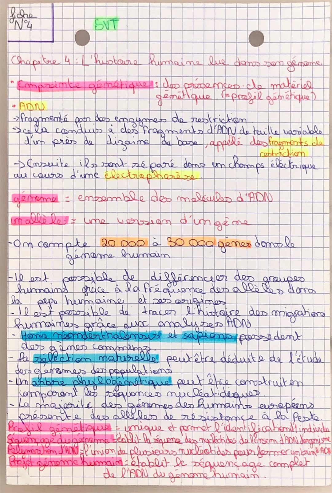 liche
N°4
O
Chapitre 4: L'histoire humaine lue dans son génome
Empreinte génétique : des présences de matériel
génétique (=profil génétique)