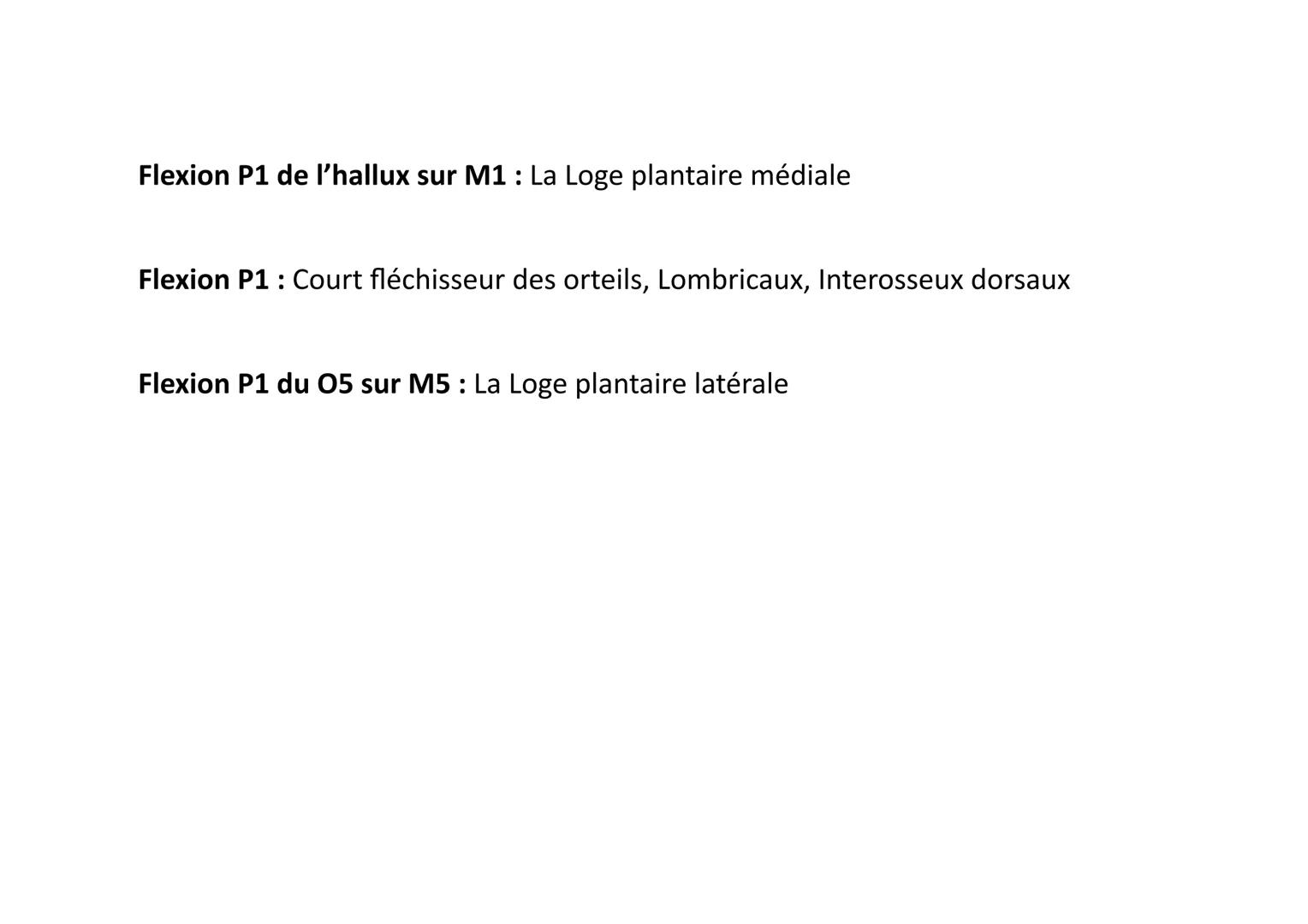 Plan
Sup
erfi
ciel
Pro
fon
d
Nom
Court extenseur des
orteils
Région du Pied: Loge Dorsale (5 muscles)
Insertions
Trajet
Face sup tubérosité 