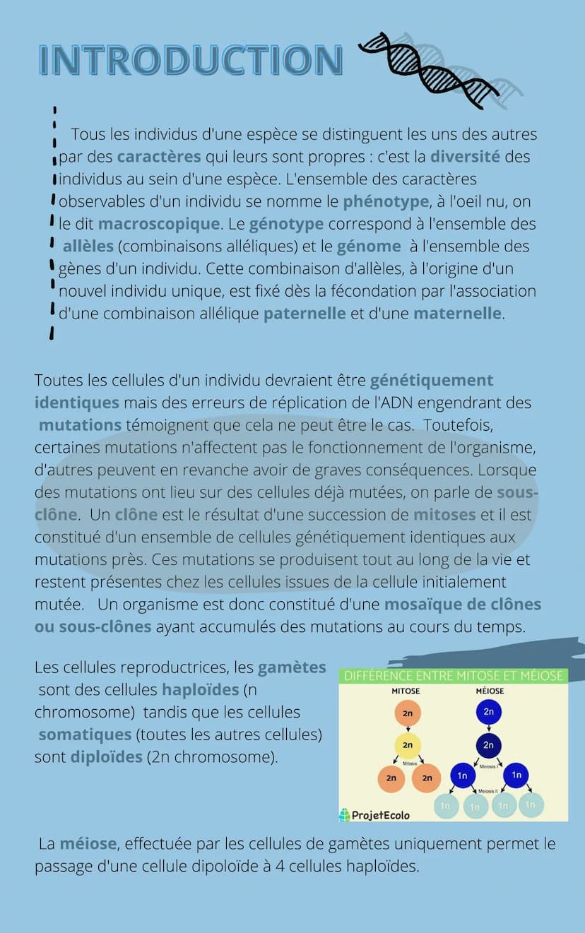 THEME
4
CHAPITRE 1: L'ORIGINE DU
GÉNOTYPE DES INDIVIDUS INTRODUCTION
Tous les individus d'une espèce se distinguent les uns des autres
par d