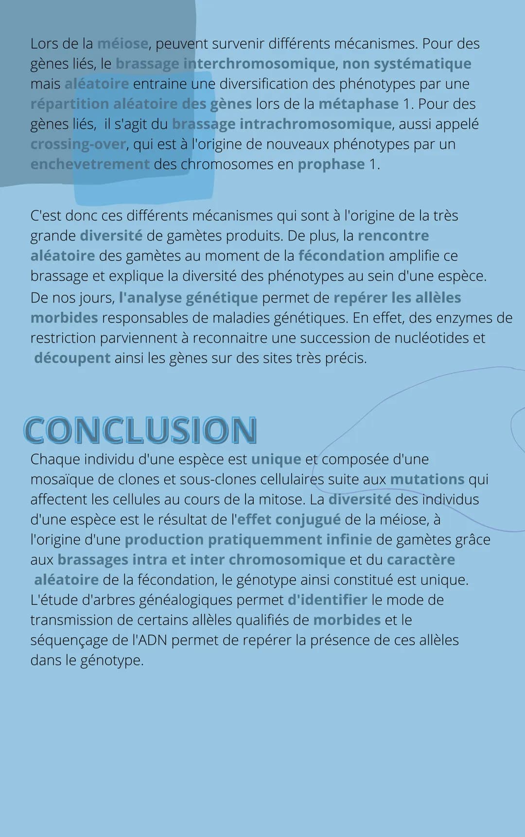 THEME
4
CHAPITRE 1: L'ORIGINE DU
GÉNOTYPE DES INDIVIDUS INTRODUCTION
Tous les individus d'une espèce se distinguent les uns des autres
par d