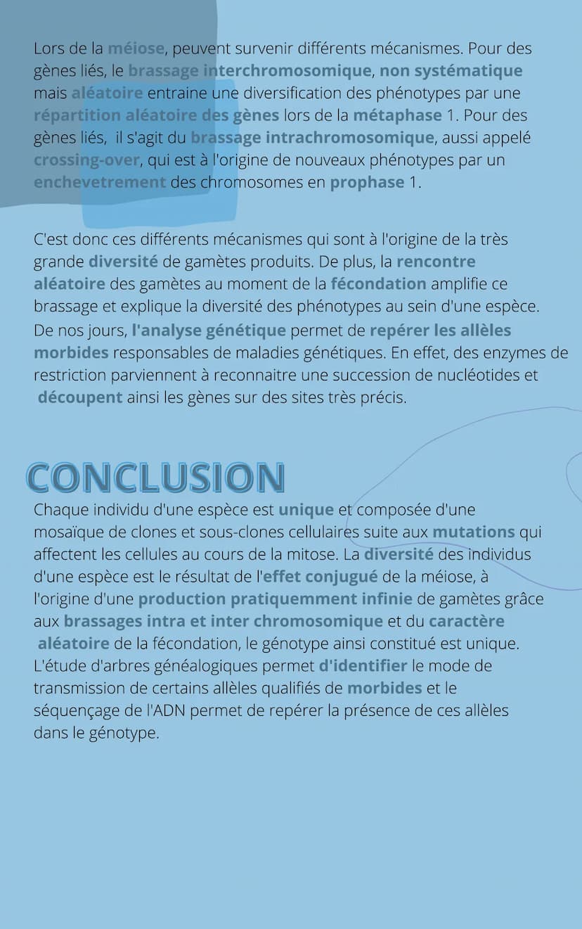 THEME
4
CHAPITRE 1: L'ORIGINE DU
GÉNOTYPE DES INDIVIDUS INTRODUCTION
Tous les individus d'une espèce se distinguent les uns des autres
par d