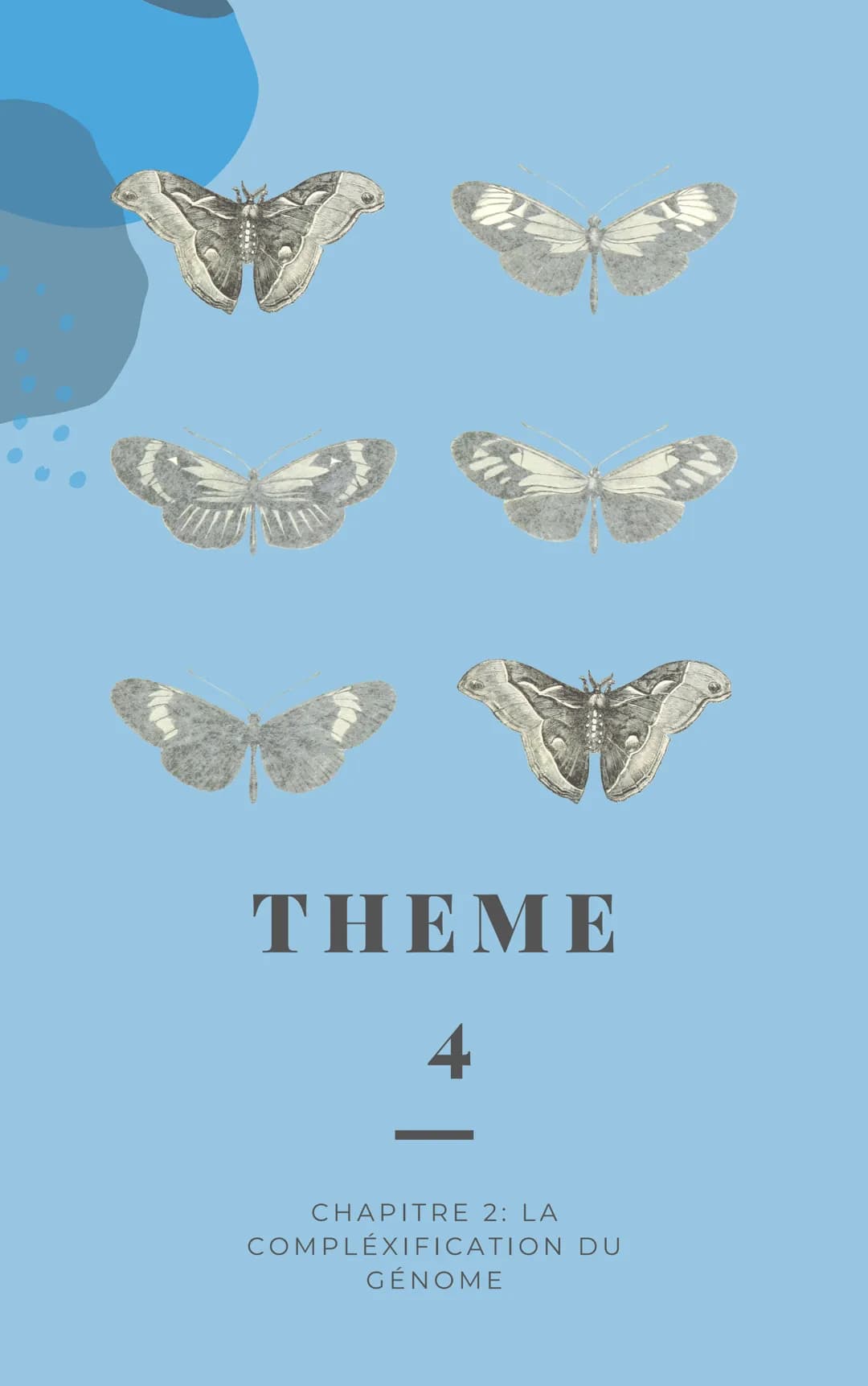 THEME
4
CHAPITRE 1: L'ORIGINE DU
GÉNOTYPE DES INDIVIDUS INTRODUCTION
Tous les individus d'une espèce se distinguent les uns des autres
par d