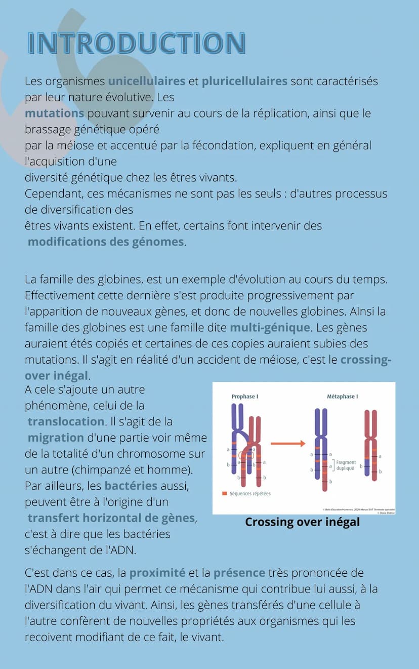 THEME
4
CHAPITRE 1: L'ORIGINE DU
GÉNOTYPE DES INDIVIDUS INTRODUCTION
Tous les individus d'une espèce se distinguent les uns des autres
par d