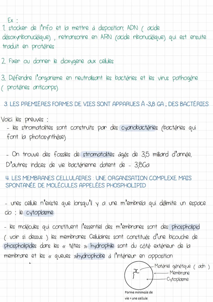 Enseignement scientifique
COMMENT LA MATIÈRE PEUT ELLE PRODUIRE DES ORGANISME
VIVANTS? DEVENIR VIVANTE ?
1.LES PARTICULES DE COMPOSITION CHI