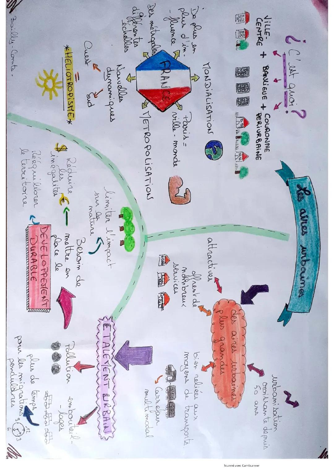 Exemple de Sketchnote: Histoire et Aménagement du Territoire 3ème, Première Guerre Mondiale et Violence de Masse