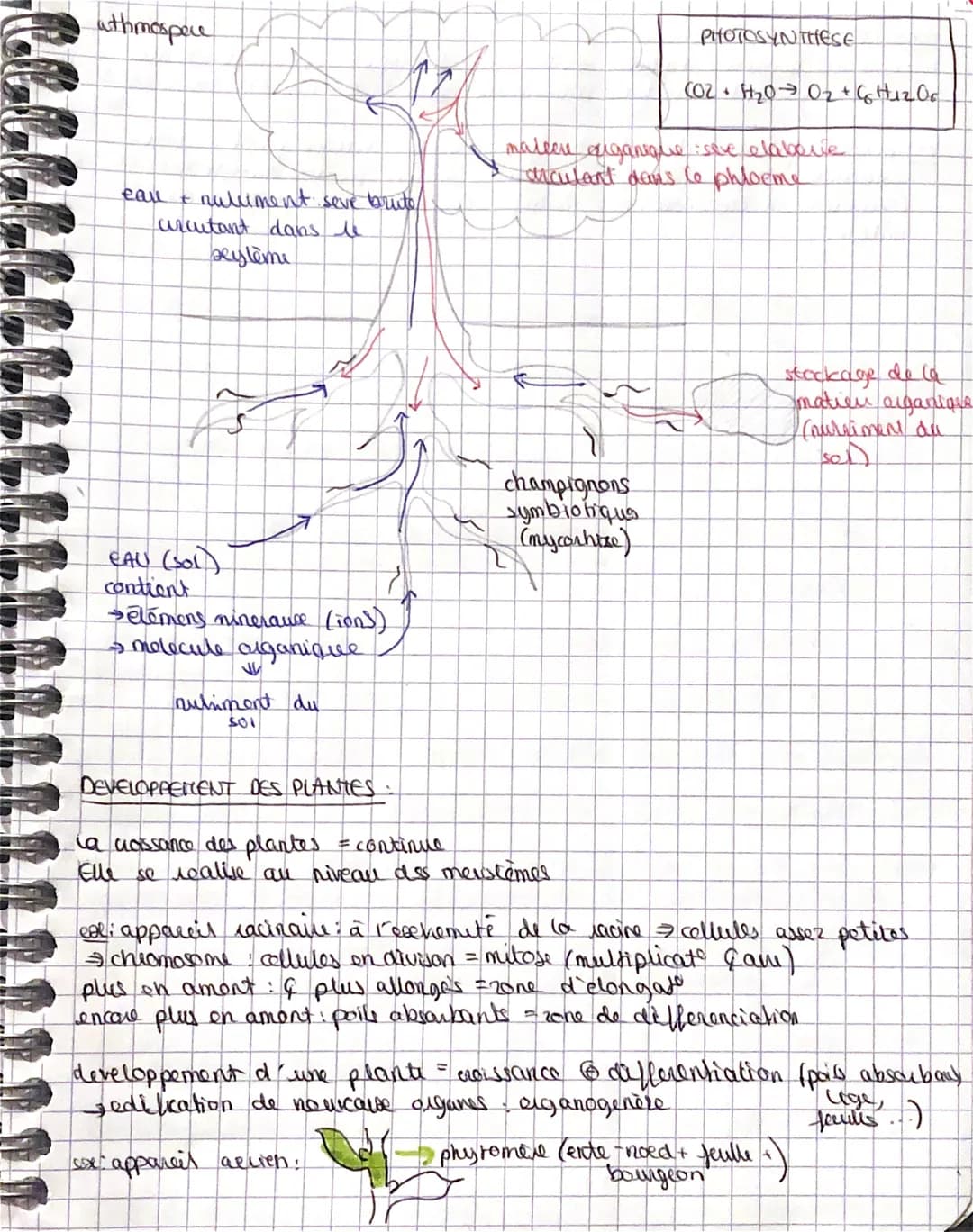 CHAPITRE 1: L-ORGANISATION FONCTIONNELLE DES PLANTES A FLEUR:
la plante cevreste est constitué de differents arganos Cracine, lige famille, 