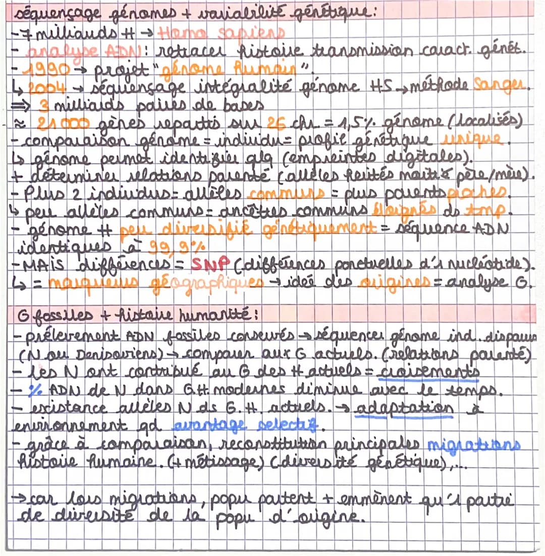 séquençage génomes + variabilité génétique:
-7 milliards #→ Hemo sapiens
analuse ADN): retraces histoire transmission caract. génét.
1990-
-