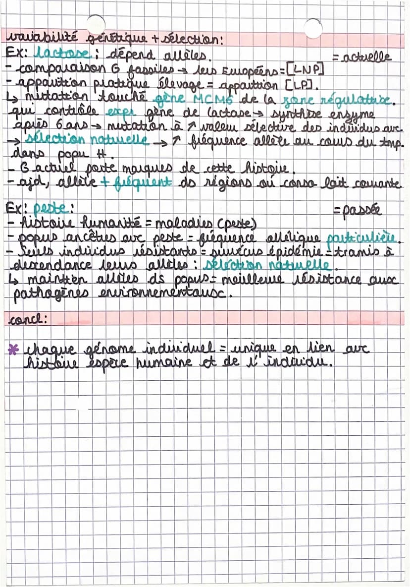 séquençage génomes + variabilité génétique:
-7 milliards #→ Hemo sapiens
analuse ADN): retraces histoire transmission caract. génét.
1990-
-