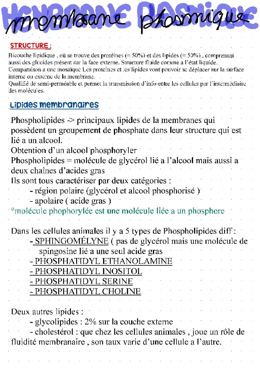 Découvre la Membrane Plasmique : Schémas et Fonctions