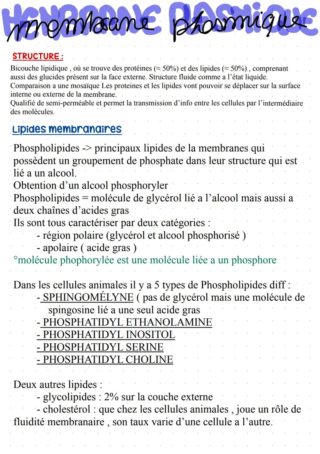 Warembane Bramiques
STRUCTURE:
Bicouche lipidique, où se trouve des protéines (~ 50%) et des lipides (~ 50%), comprenant
aussi des glucides 