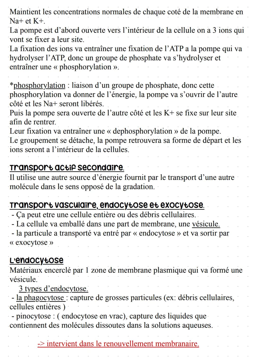 Warembane Bramiques
STRUCTURE:
Bicouche lipidique, où se trouve des protéines (~ 50%) et des lipides (~ 50%), comprenant
aussi des glucides 