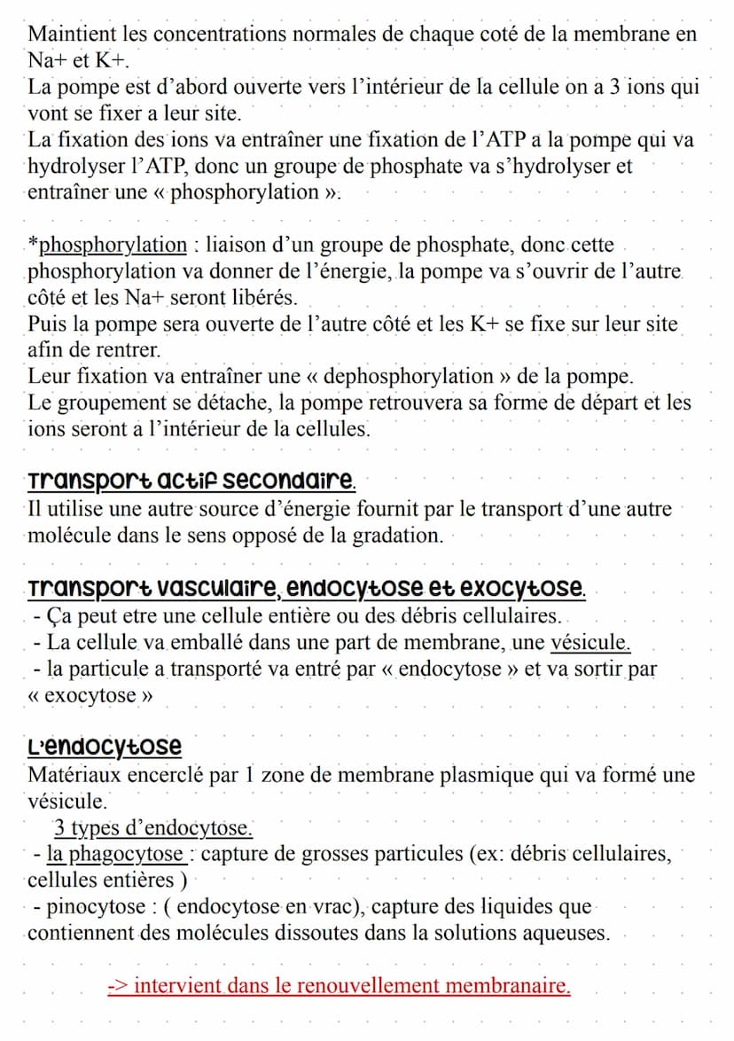 Warembane Bramiques
STRUCTURE:
Bicouche lipidique, où se trouve des protéines (~ 50%) et des lipides (~ 50%), comprenant
aussi des glucides 