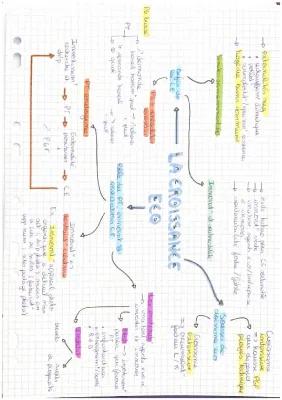 Know Carte mentale croissance éco ses thumbnail