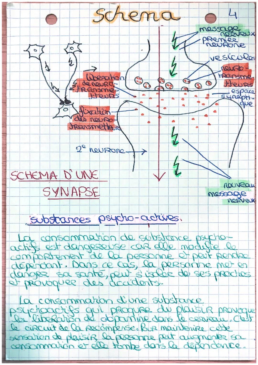 SVT
L'effort physique et sa commande
nerveuse
message nerveux
organes sensoriels sens correspondant
les yeux
Le nez
les oreilles
la langue
(