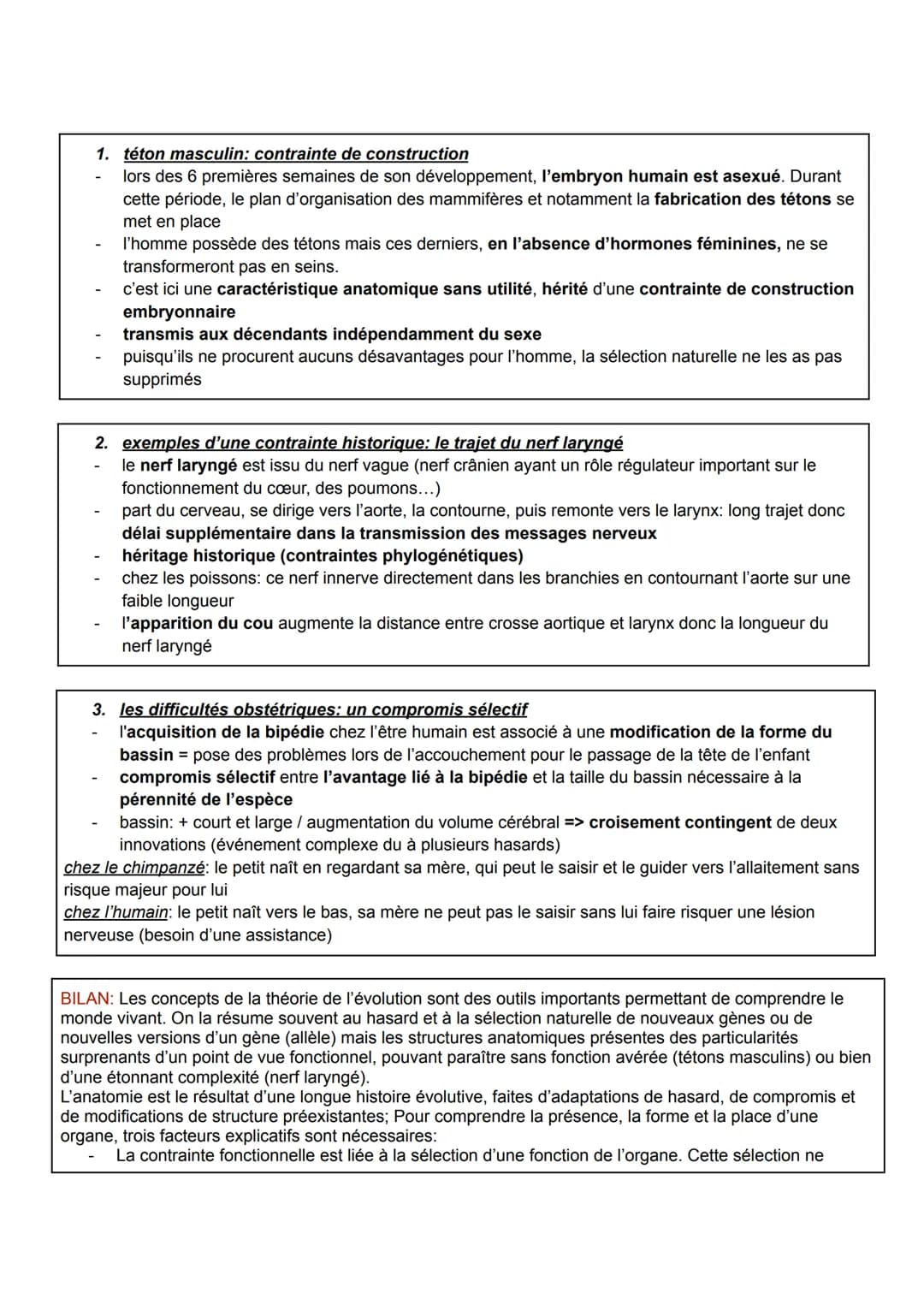 es svt: chapitre 2
L'anatomie des organismes s'explique par une longue histoire évolutive. De nombreuses structures
anatomiques sont ainsi l