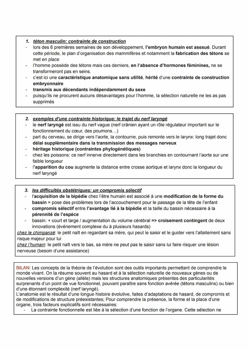 es svt: chapitre 2
L'anatomie des organismes s'explique par une longue histoire évolutive. De nombreuses structures
anatomiques sont ainsi l