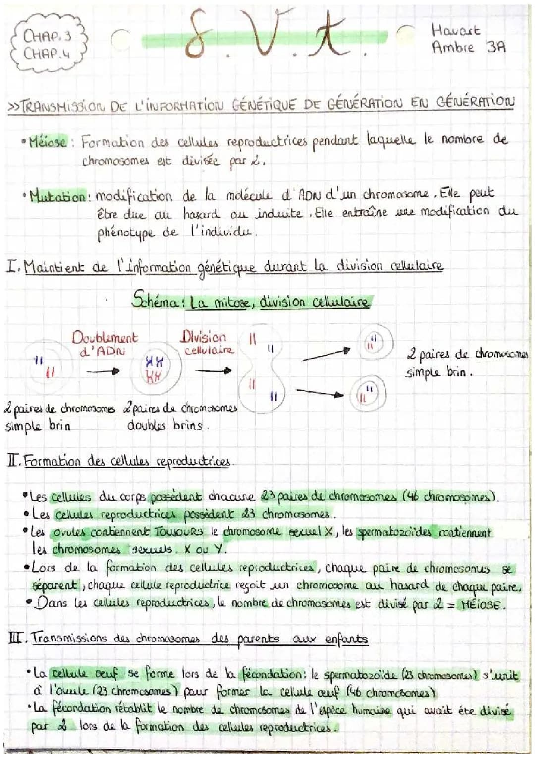 Transmission de l'information génétique SVT 3ème - PDF