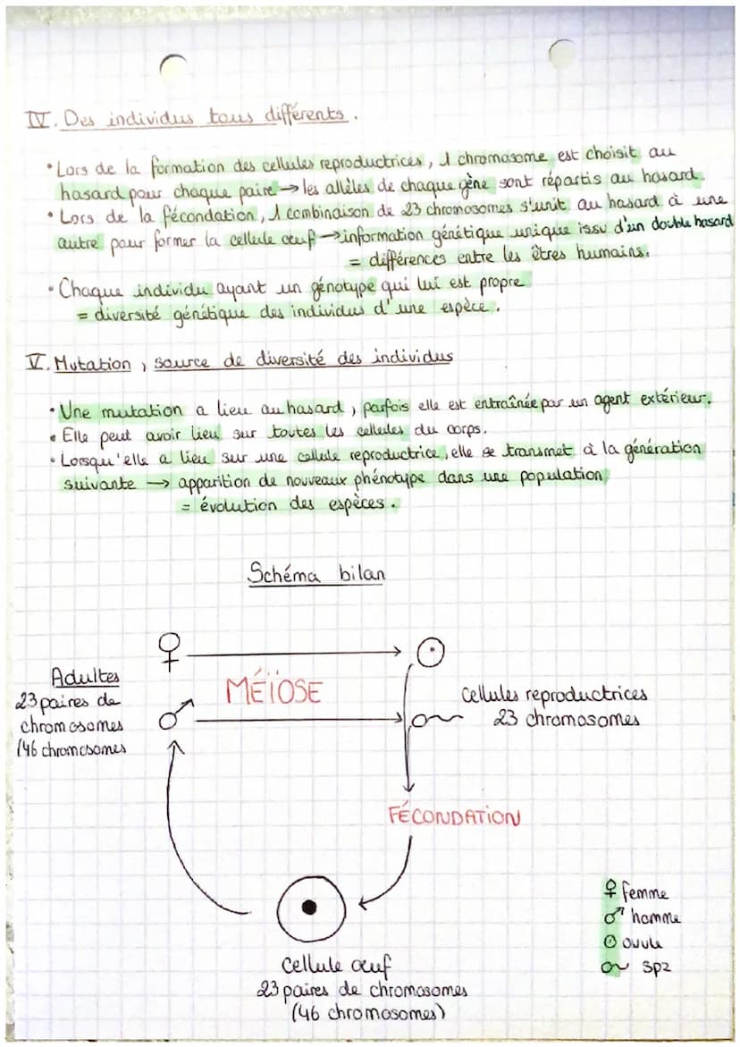 CHAP. 3
CHAP.4
>>TRANSMISSION DE L'INFORMATION GÉNÉTIQUE DE GÉNÉRATION EN GÉNÉRATION
•Meiose: Formation des cellules reproductrices pendant 