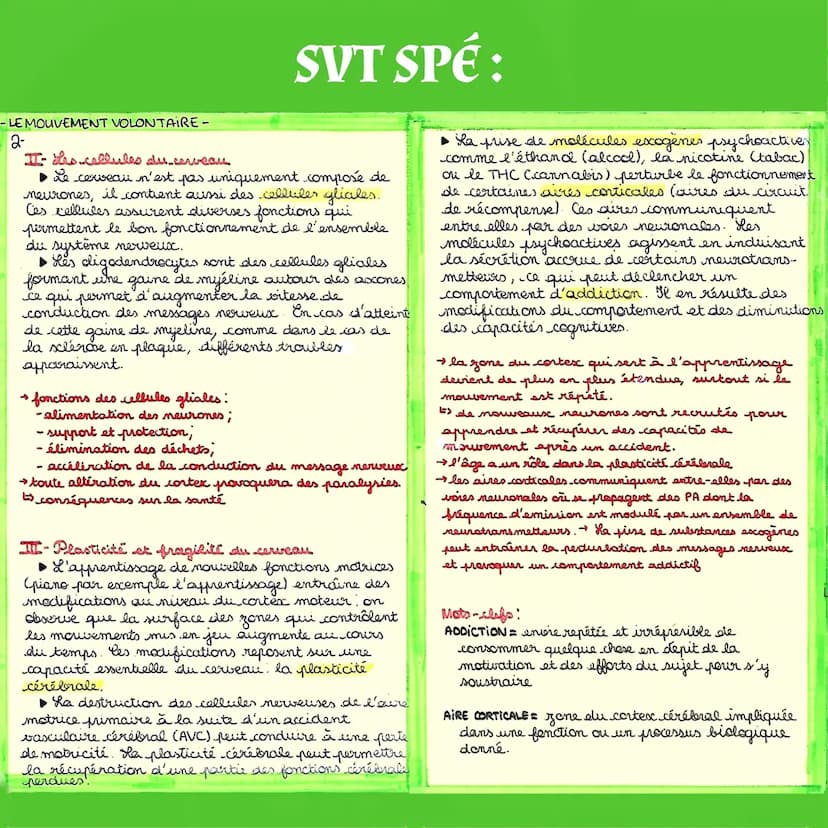 SVT SPÉ:
Chème 4: Corps humain et santé
Le Mouvement Volontaire
I-Cerveau et mouvement volontaire
▶ L'imagerie par résonance magnétique fonc