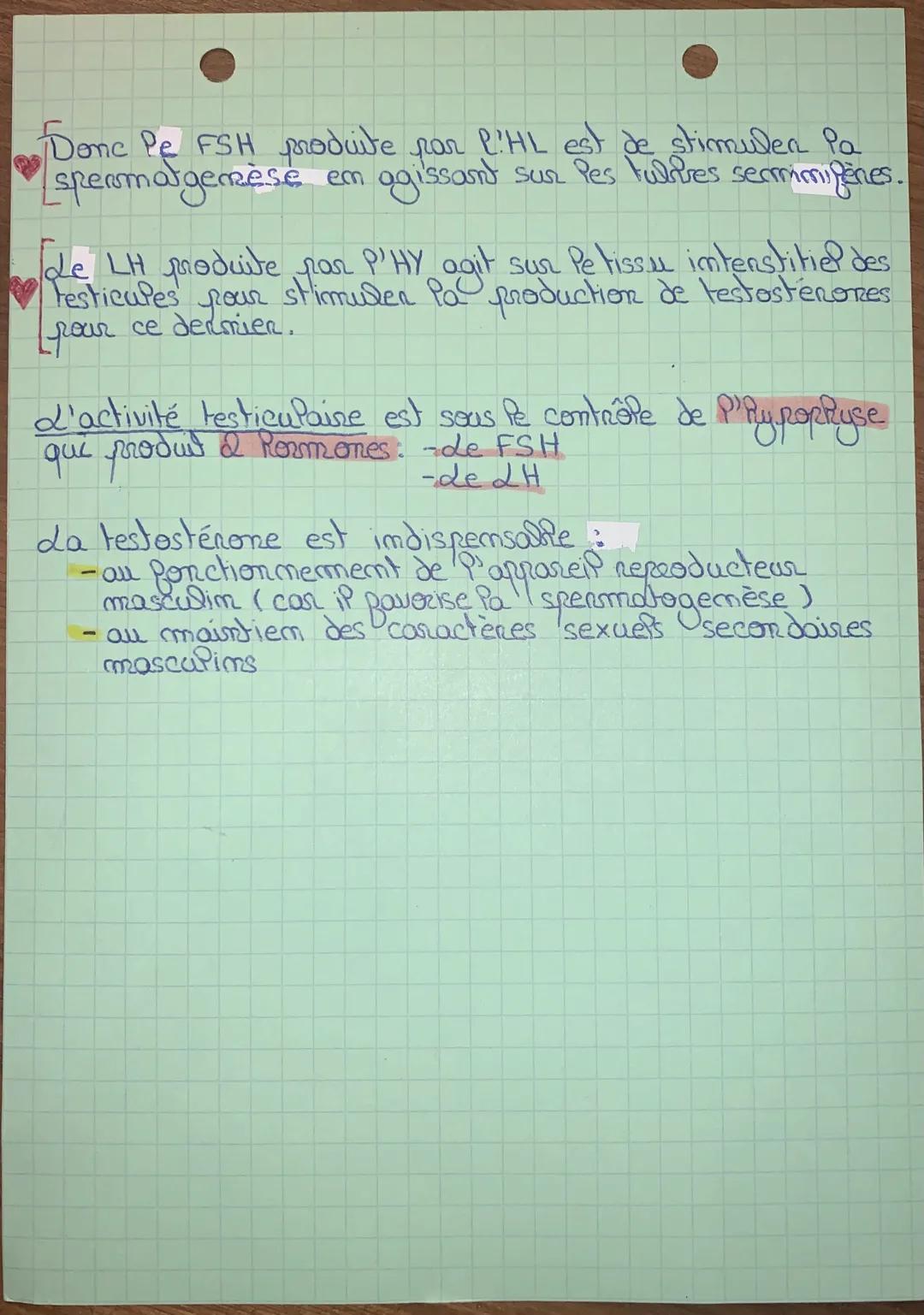 SVT
1- La production des spermatozoides et des testostérones
par les testicules
Pulrenté : - Pes testicules deviemment fonctionnels qui
prod