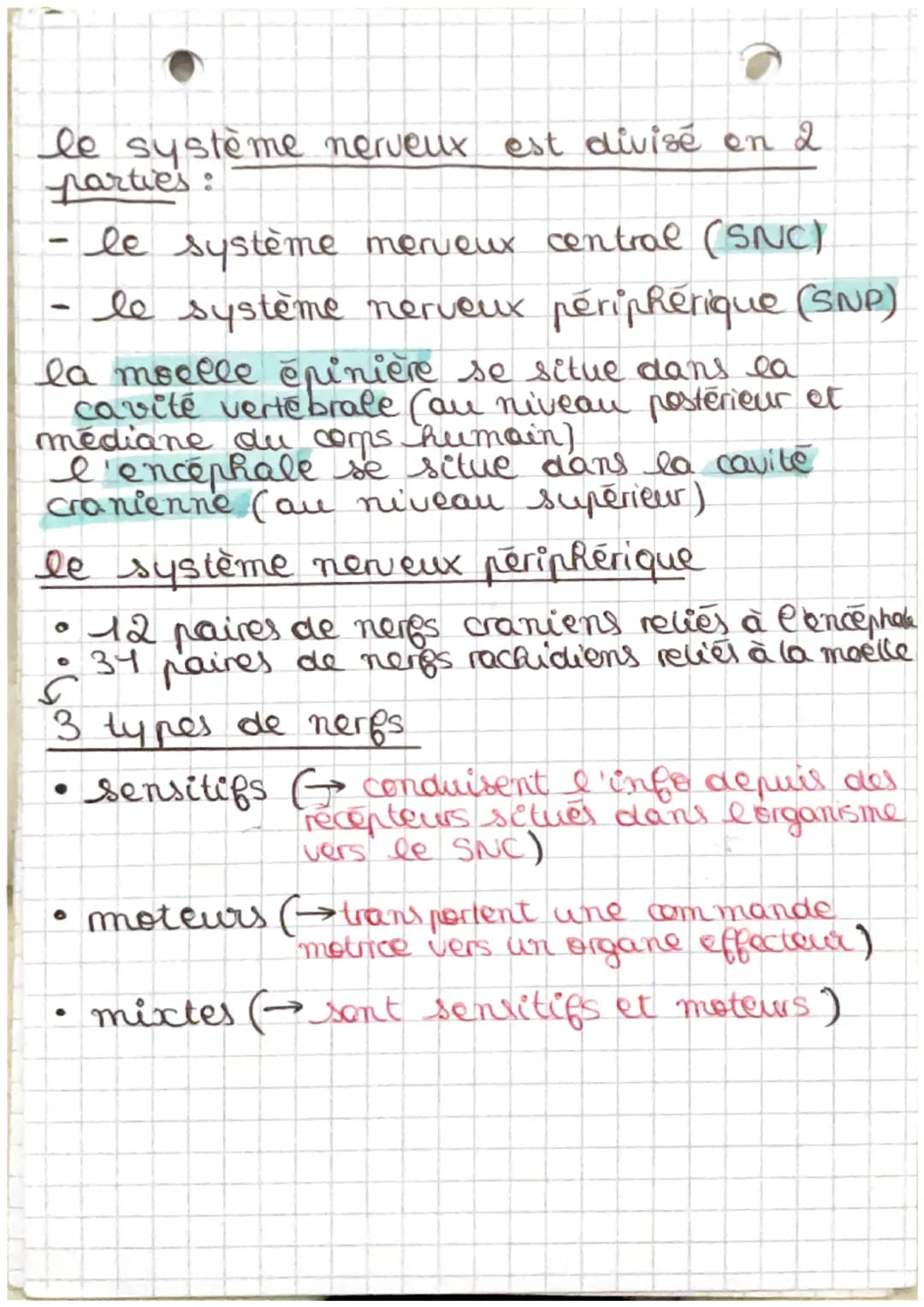 • Chapitre 2.2 s
Organisation et exploration du SNet P
tissu nerveux du système nerveux central
A
O
Substance grise
Substance blanche
Substa