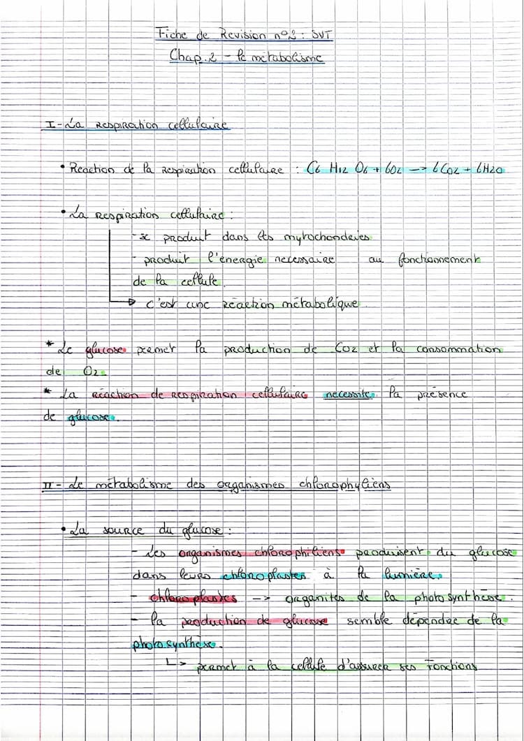 Know Le métabolisme thumbnail