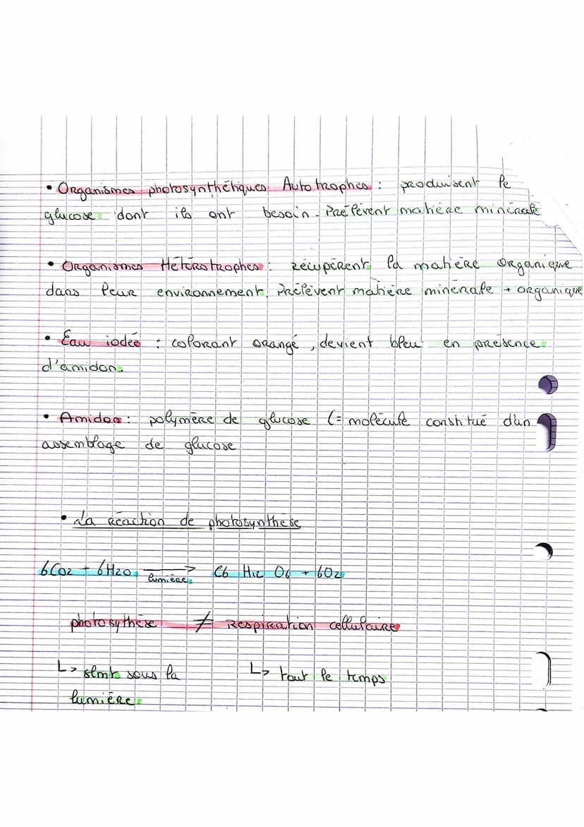 Fiche de Revision n°2 SUT
Chap. 2 le metabolisme
I-va Respiration cellulaire
• Reaction de la Respiration cellulare: C6 H12 O6 + 602 - 6 CO₂