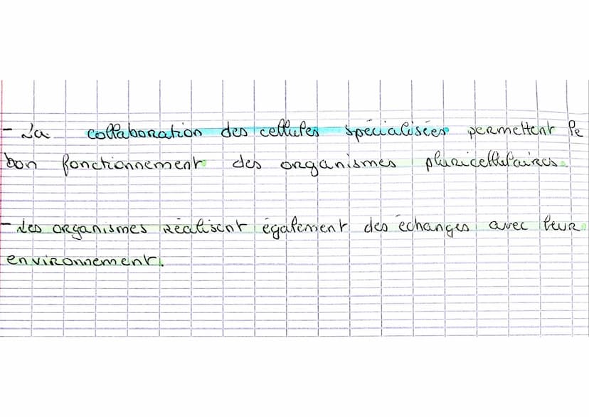 Fiche de Revision n°2 SUT
Chap. 2 le metabolisme
I-va Respiration cellulaire
• Reaction de la Respiration cellulare: C6 H12 O6 + 602 - 6 CO₂