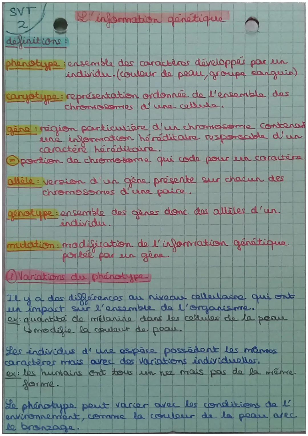 Information génétique