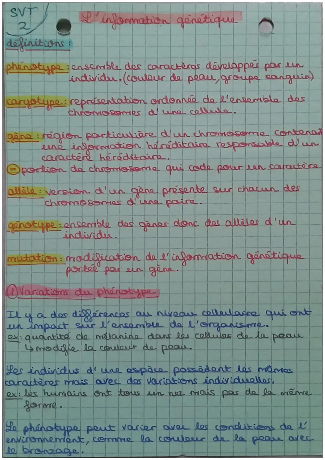 SVT
2
définitions:
phenotype : ensemble des caractères développer par un
individu. (couleur de peau, groupe sanguin)
L'information génétique