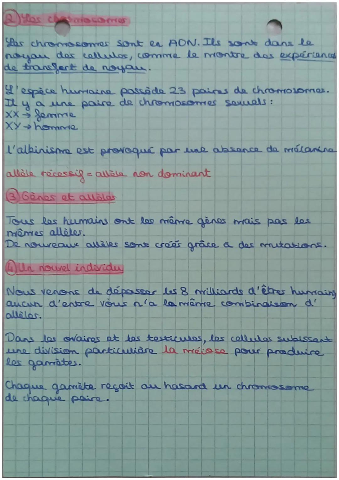 SVT
2
définitions:
phenotype : ensemble des caractères développer par un
individu. (couleur de peau, groupe sanguin)
L'information génétique