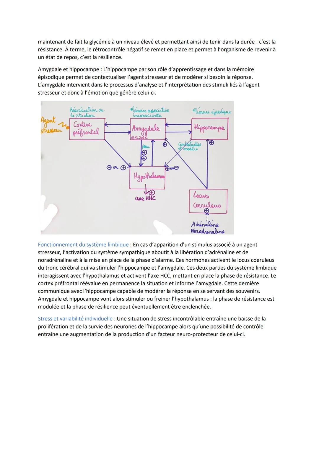 Les agents stresseurs: Est considéré comme un agent stresseur, une situation imprévisible nouvelle
et qui peut présenter une menace pour l'o