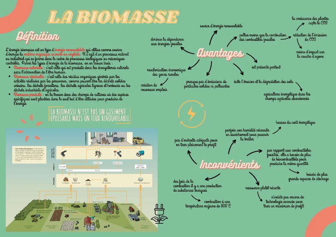 Biomasse : Définition Simple et Exposé pour Enfants