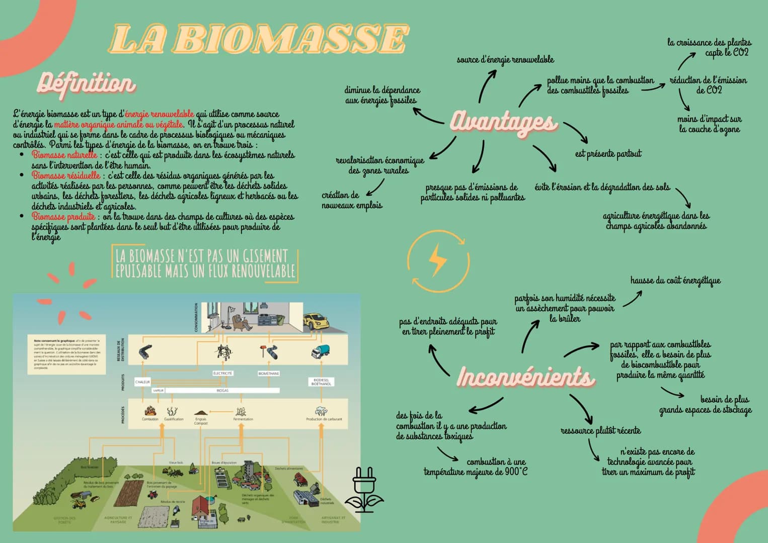 Définition
L'énergie biomasse est un type d'énergie renouvelable qui utilise comme source
d'énergie la matière organique animale ou végétale