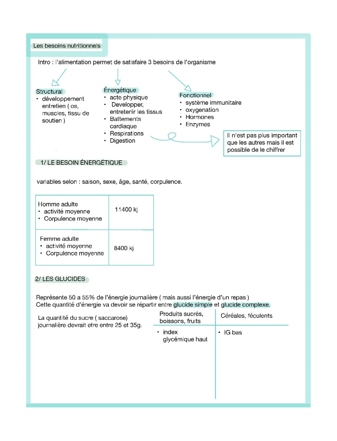 Les besoins nutritionnels - PDF, tableau, aliments, et apports conseillés