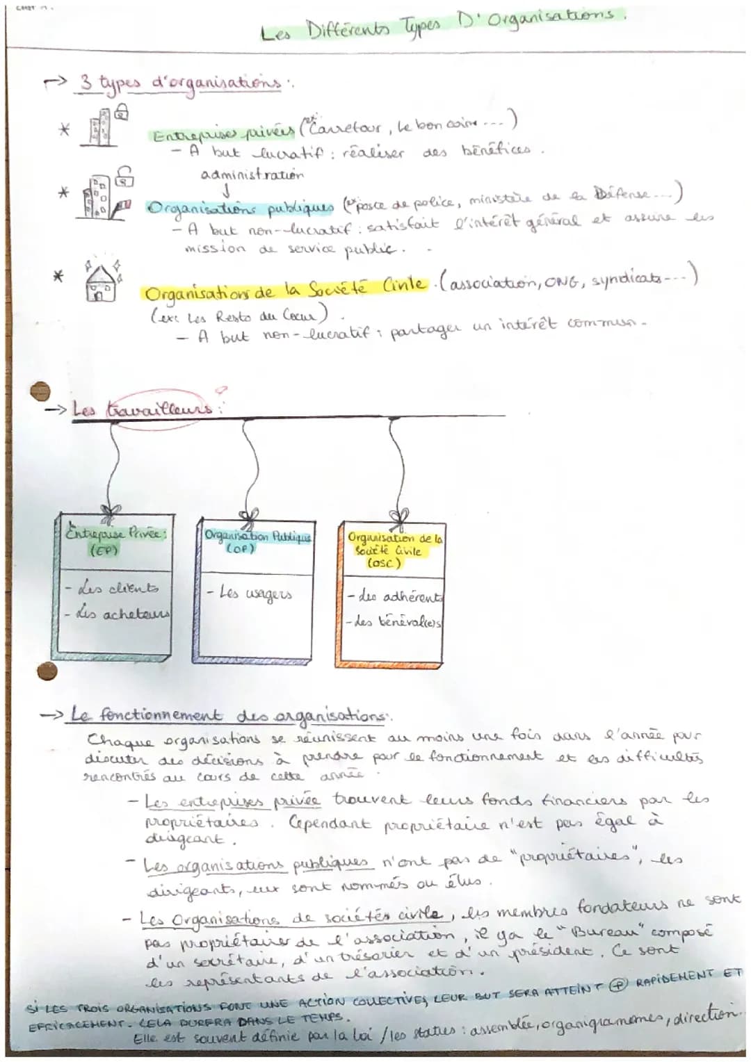 Les différents types d'organisations