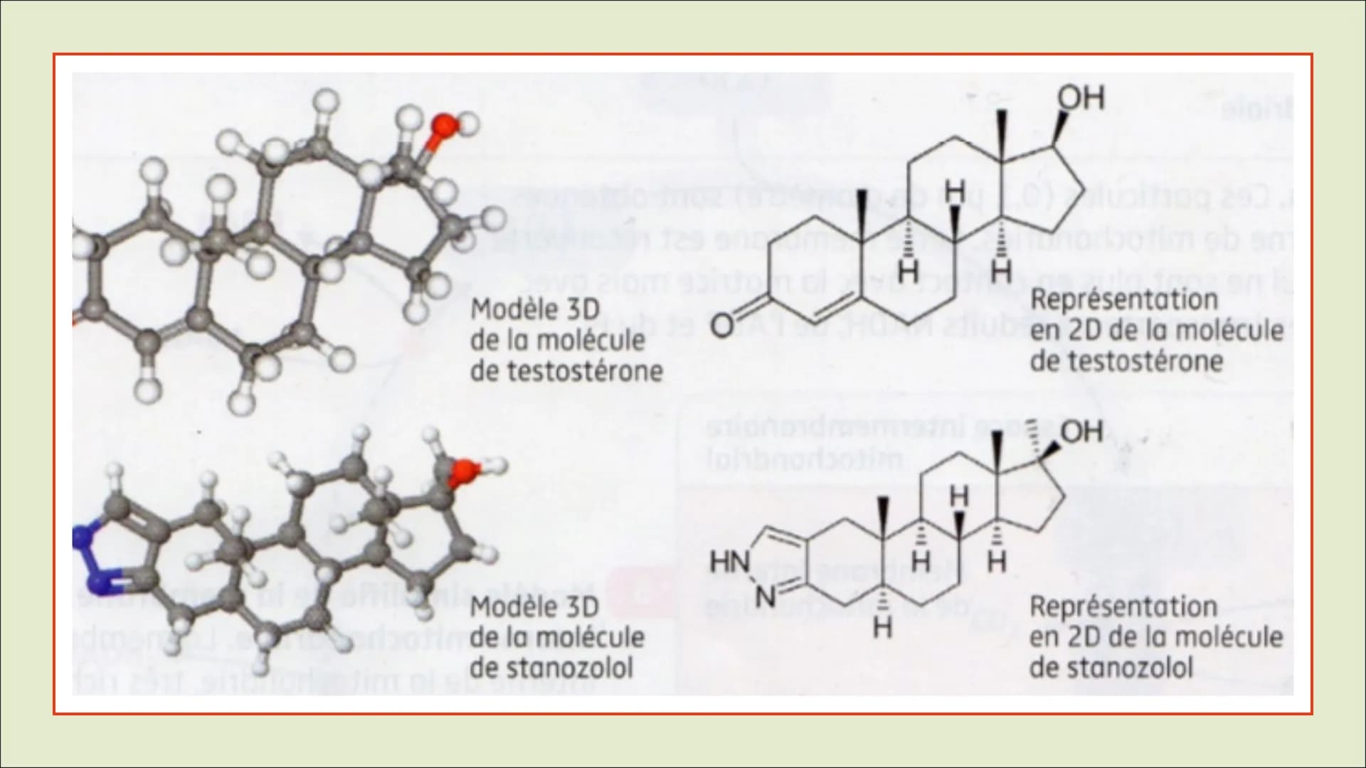 DOPAGE ET FONCTIONNEMENT
DE LA CELLULE MUSCULAIRE
Les conséquences du recours aux stéroïdes dans le cadre d'une pratique
sportive Sommaire:
