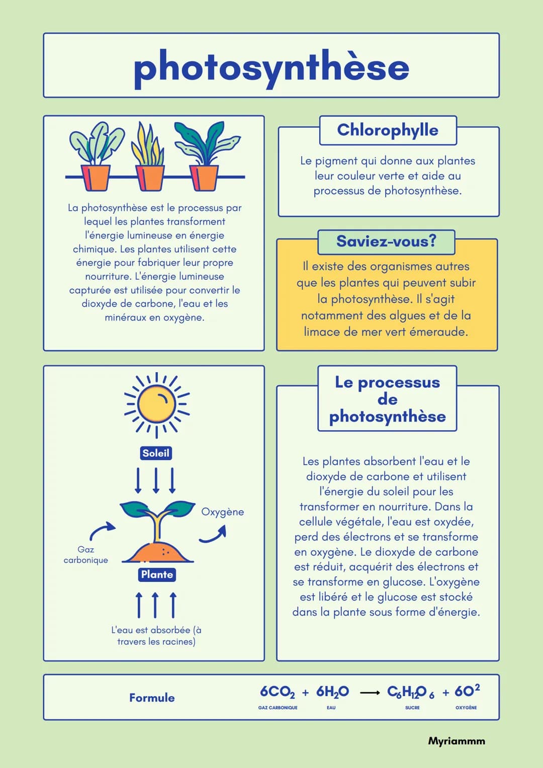 # photosynthèse

La photosynthèse est le processus par
lequel les plantes transforment
l'énergie lumineuse en énergie
chimique. Les plantes 