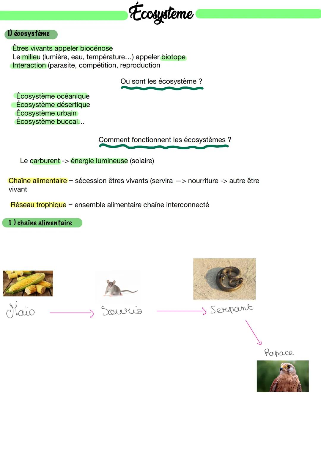 # Écosysteme

1) écosystème

Êtres vivants appeler biocénose
Le milieu (lumière, eau, température...) appeler biotope
Interaction (parasite,
