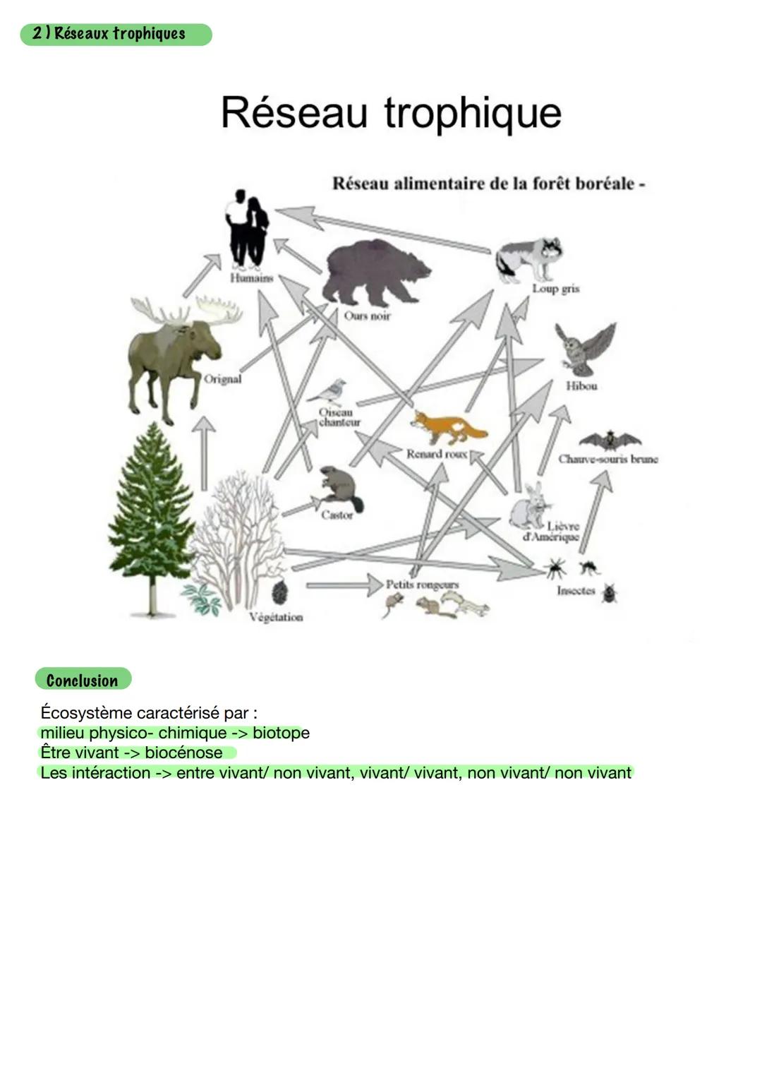 # Écosysteme

1) écosystème

Êtres vivants appeler biocénose
Le milieu (lumière, eau, température...) appeler biotope
Interaction (parasite,