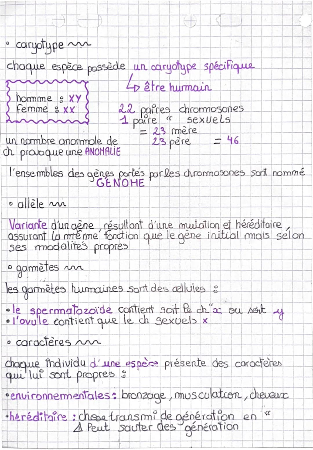 LA GÉNÉTIQUE
definition m
caryotype ensemble des chromosones d'une espèce.
adn
→ acide desoxyribonucléique (longue double chaîne
de molécule