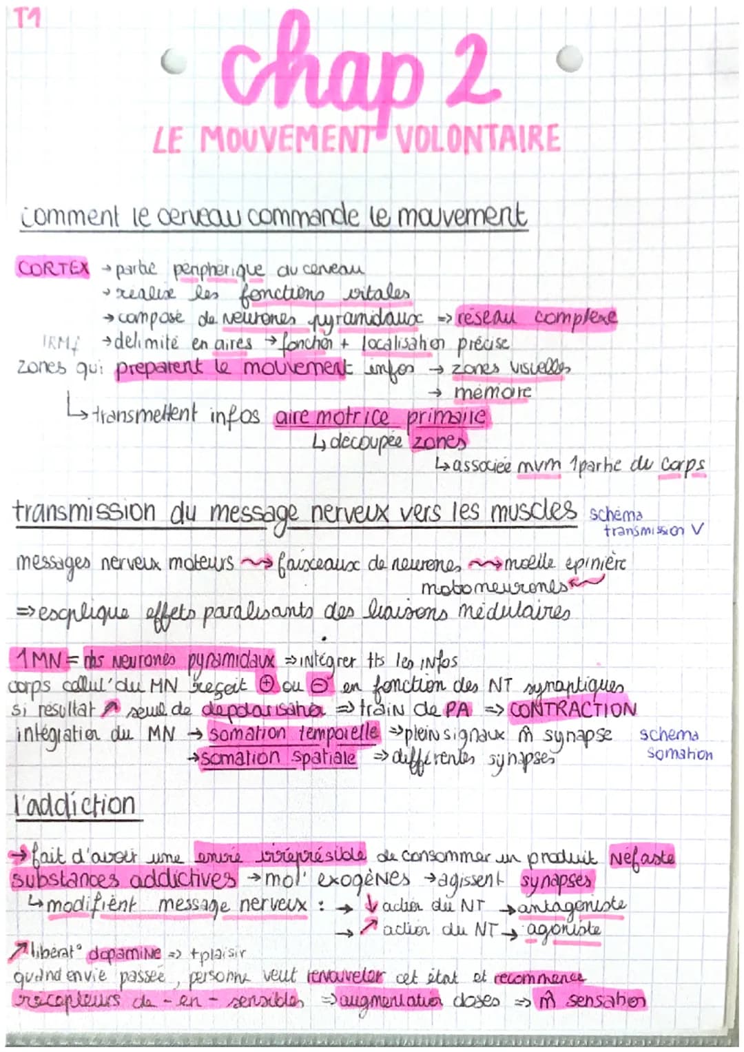 T
chap 2
LE MOUVEMENT VOLONTAIRE
Comment le cerveau commande le mouvement
CORTEX parte peripherique du cerveau
IRM
- realix les fonctions vi
