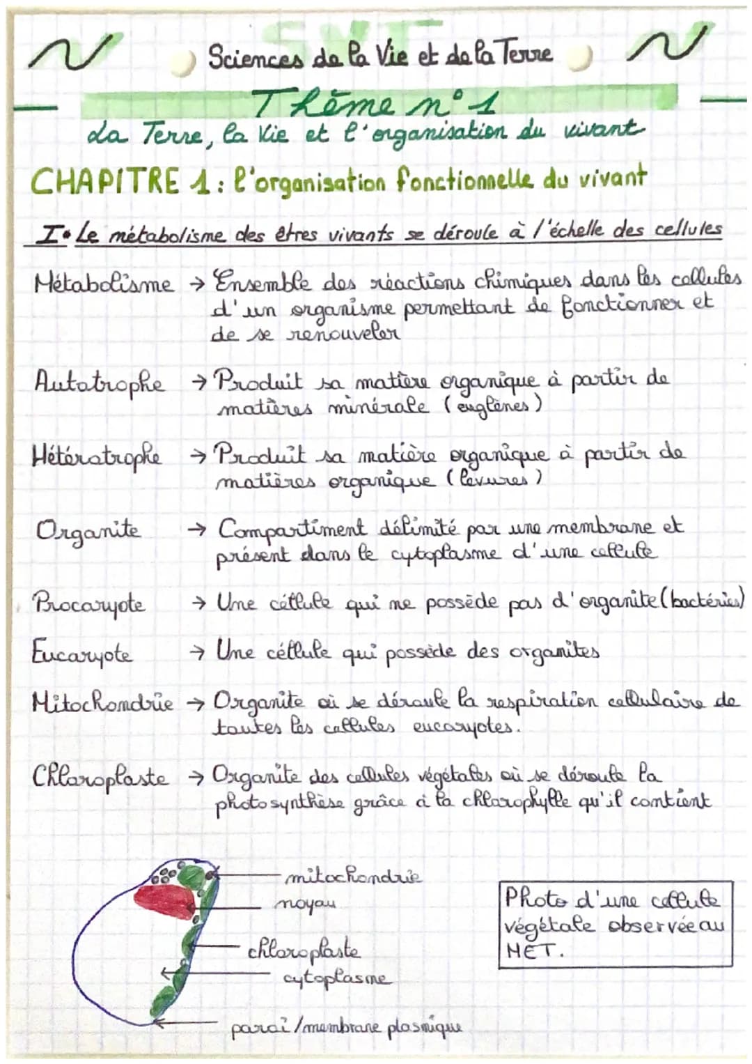 N
Sciences de la Vie et de la Terre J ~
Thème n°1
da Terre, la vie et l'organisation du vivant
CHAPITRE 1: l'organisation fonctionnelle du v