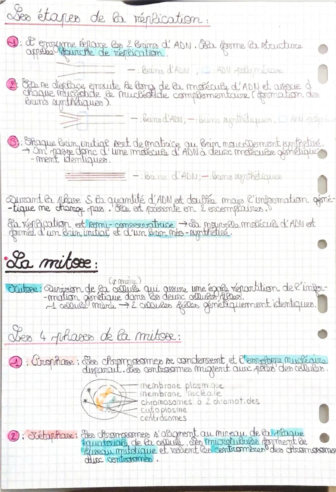 --- OCR Start ---
sot
SPE: Première (ère)
• Réplication de l'ADN et divisions cellulaire-
eucaryotes.
•Cycle cellulaire et état de l'ADN:
De