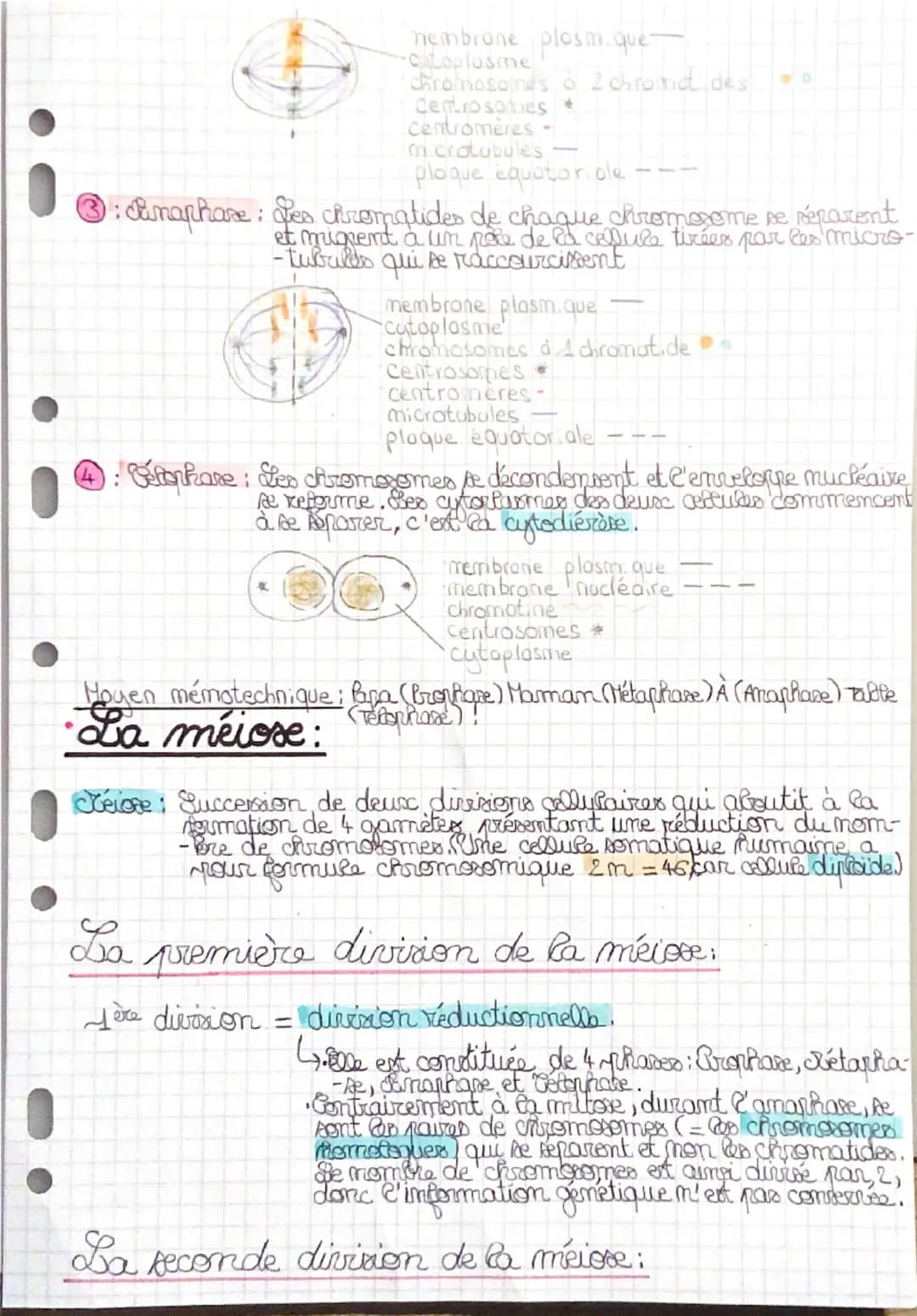 --- OCR Start ---
sot
SPE: Première (ère)
• Réplication de l'ADN et divisions cellulaire-
eucaryotes.
•Cycle cellulaire et état de l'ADN:
De