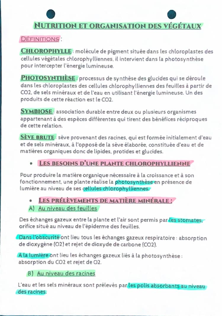 Know Nutrition et organisation des végétaux  thumbnail