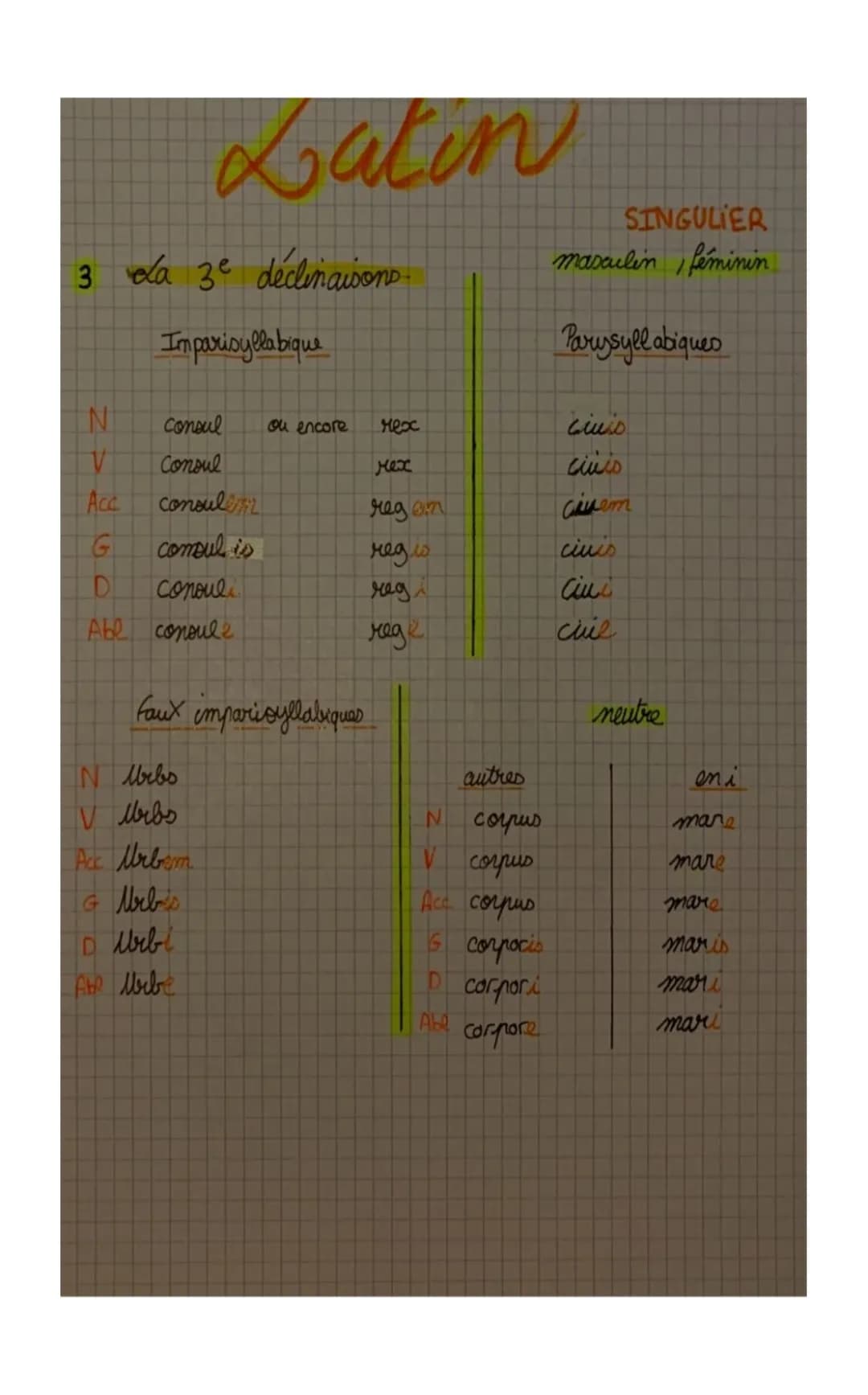 Guide Facile des Déclinaisons Latines : 3ème Déclinaison et Plus!