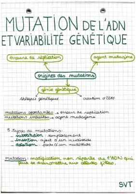 Know mutation de l’adn et variabilité génétique  thumbnail