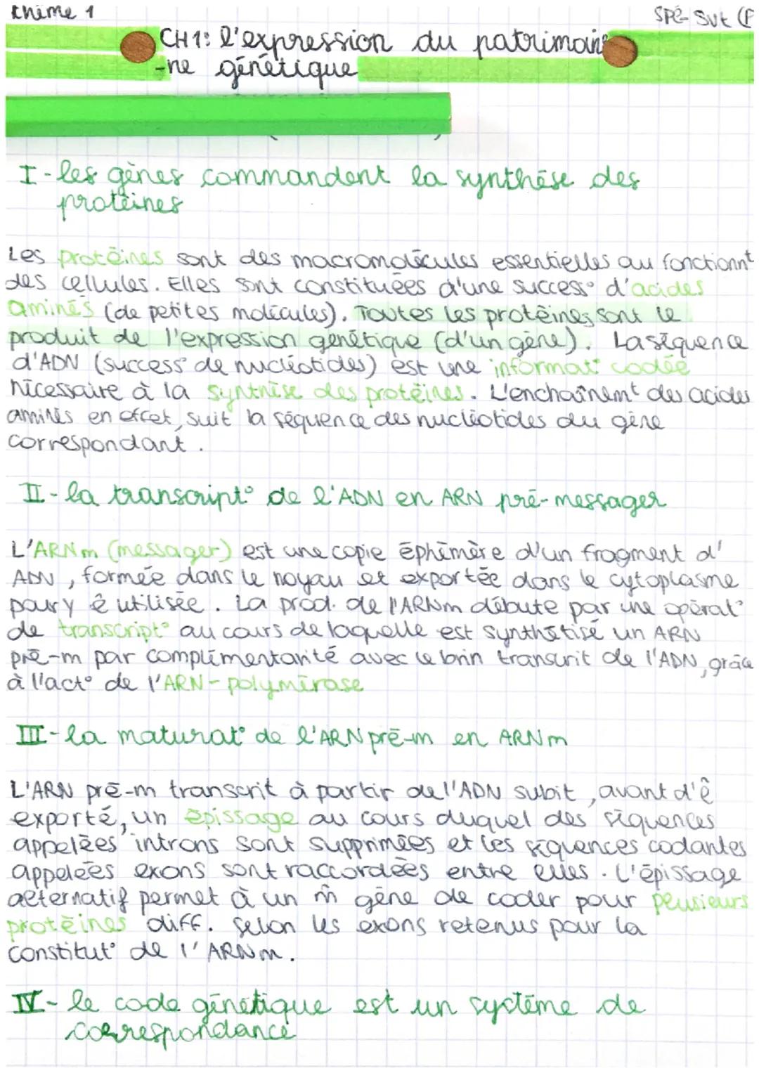 thime 1
1 CH 1: l'expression du patrimoin
-ne génétique
I-les gènes commandent la synthèse des
proteines
Spé- Sut (f
Les proteines sont des 